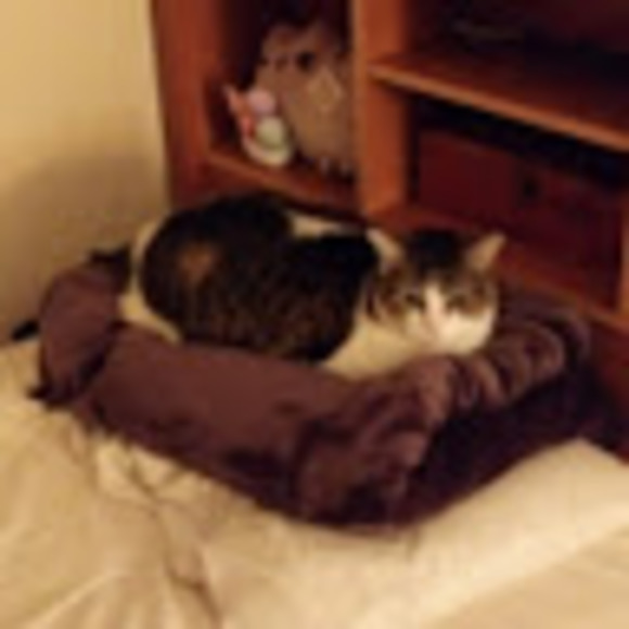 Meet your Posher, Rose - Picture 1 of 1